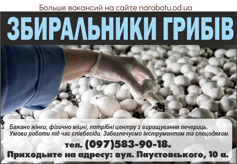 Вакансии в Одессе Збиральник