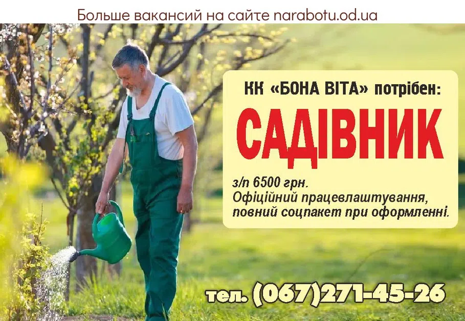Вакансии в Одессе 