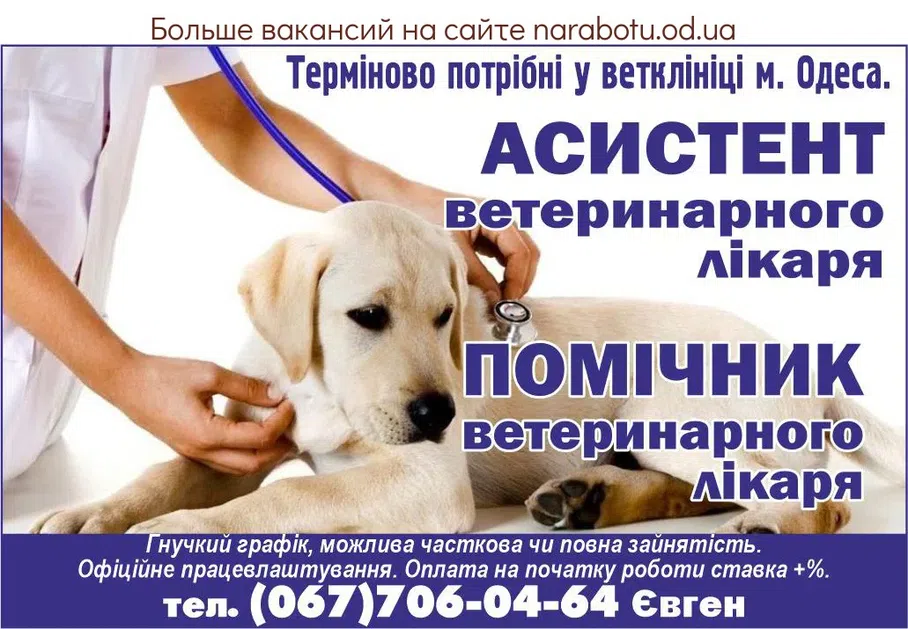 Вакансії в Одесі АССІСТЕНТ ветеринарного лікаря